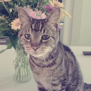 Meet your Posher, Kristen